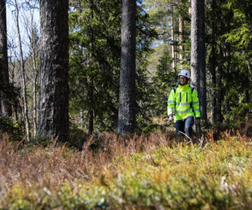Anställd på malung-Sälens Elverk går i skog.