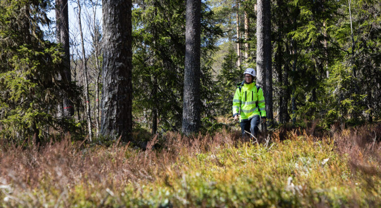 Anställd på malung-Sälens Elverk går i skog.